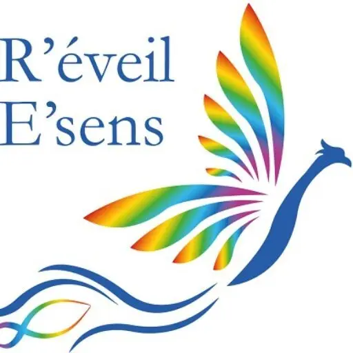 logo eveil sens